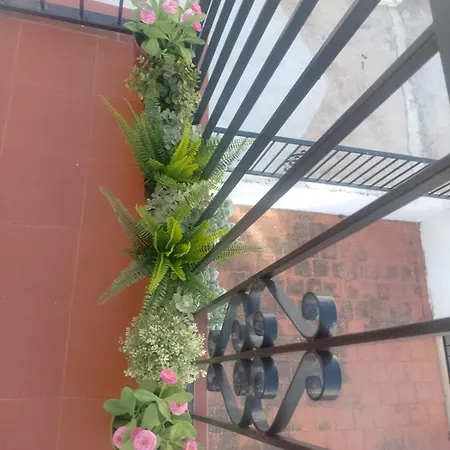 Casa Numari *